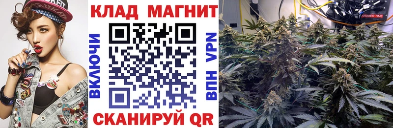 Магазины продажи наркотиков Будённовск АМФ  Галлюциногенные грибы  Альфа ПВП  Гашиш  Конопля  COCAIN 